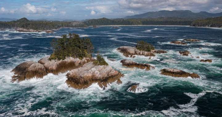 Huge national marine conservation area established off B.C.’s Central Coast