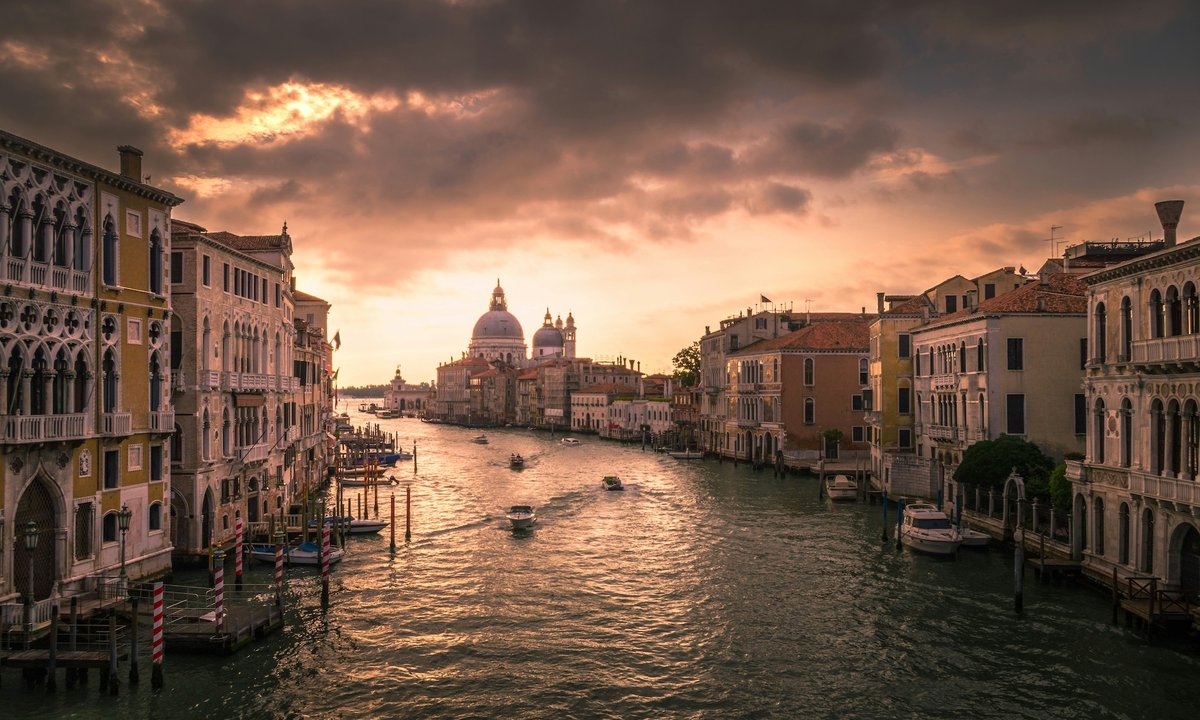 Venice Biennale’s jury resigns - The Art Newspaper