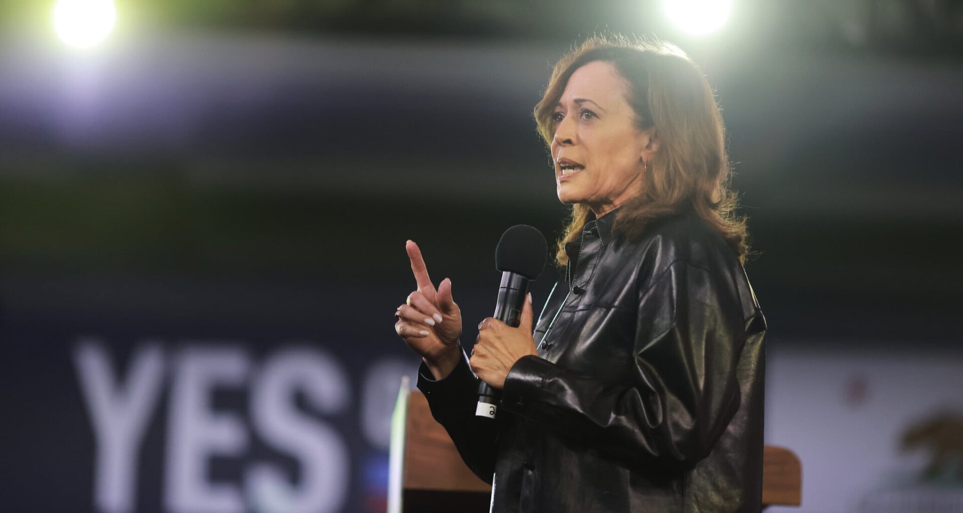 Gaza war and Israel go unmentioned in Democrats’ 2024 election autopsy report
