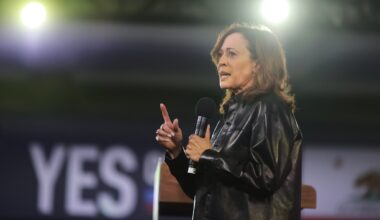 Gaza war and Israel go unmentioned in Democrats’ 2024 election autopsy report