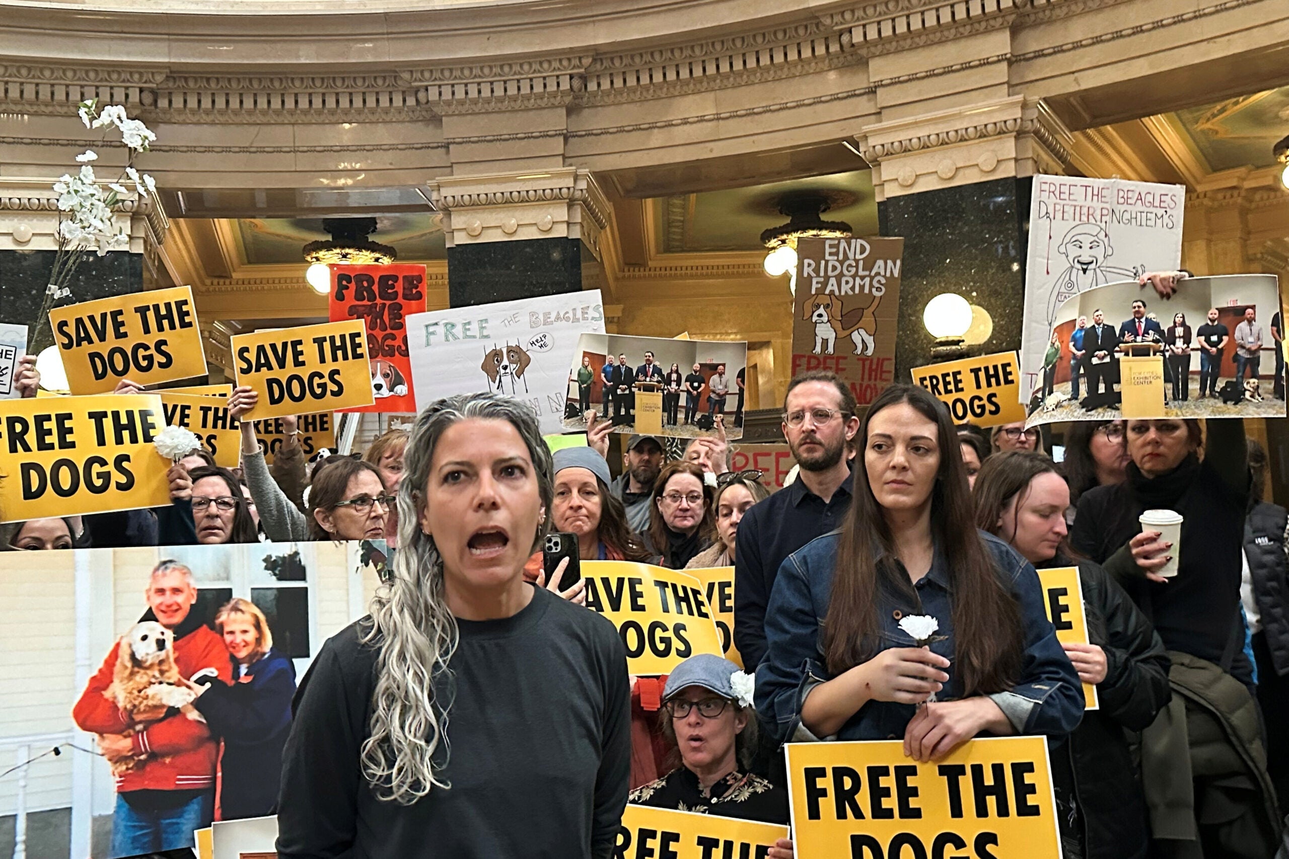 A group of protesters hold signs reading FREE THE DOGS and SAVE THE DOGS inside a building, advocating for the release of beagles used in research.