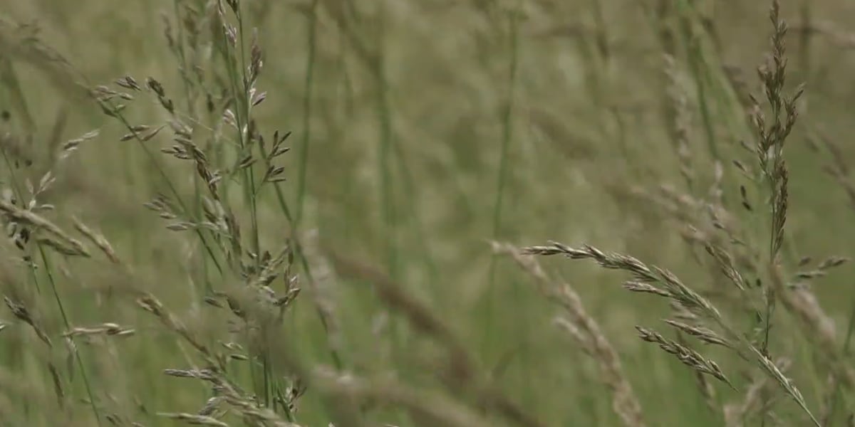 Iran war impacts Missouri farmers as fertilizer prices surge