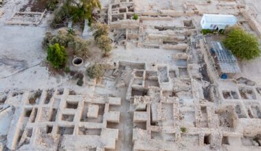How ancient seeds are rewriting the history of biblical-era trade with Arabia