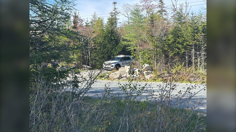 A Halifax police vehicle is pictured close to where police said a newborn's remains were found in a wooded area off Old Coach Road. (Jesse Thomas, CTV Atlantic)