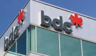 Canada’s venture capital gap now an ‘economic sovereignty issue,’ BDC says - National