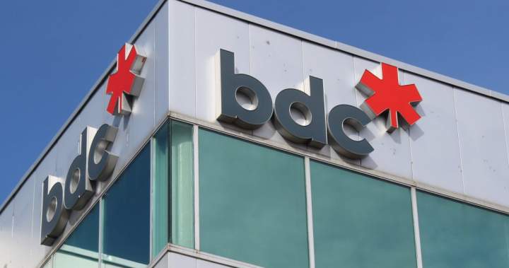 Canada’s venture capital gap now an ‘economic sovereignty issue,’ BDC says - National