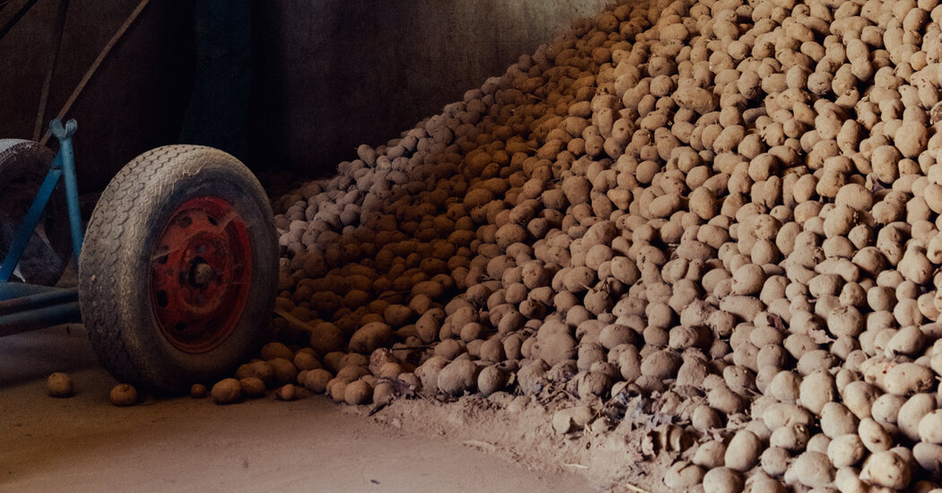The World Capital of French Fries Has a Problem: Too Many Potatoes