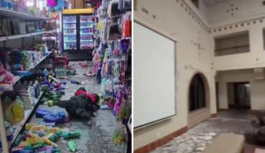 Earthquake swarm shakes southern California, southwest Arizona