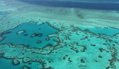 Man killed in shark attack on Australia’s Great Barrier Reef