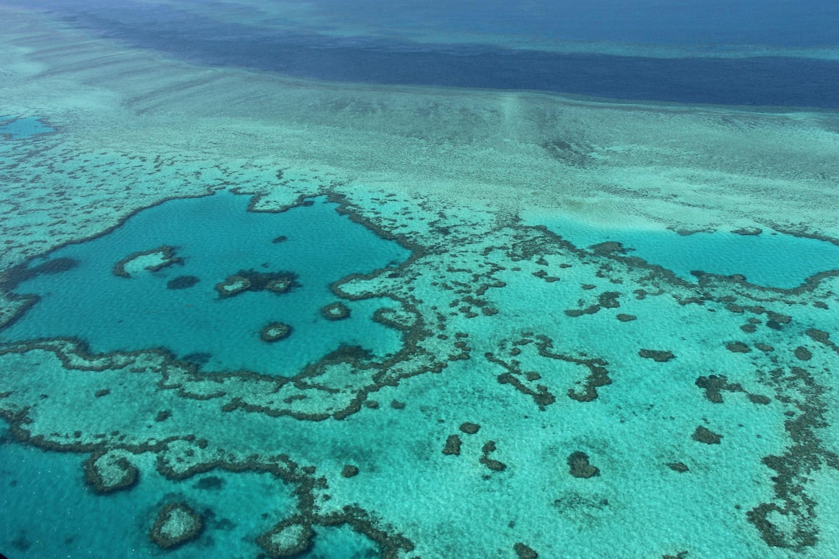 Man killed in shark attack on Australia’s Great Barrier Reef