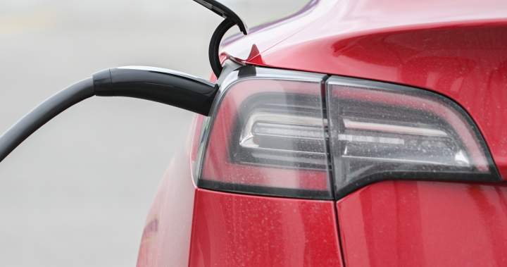 EV, hybrid sales 75% higher than March 2025 as gas prices near records - National