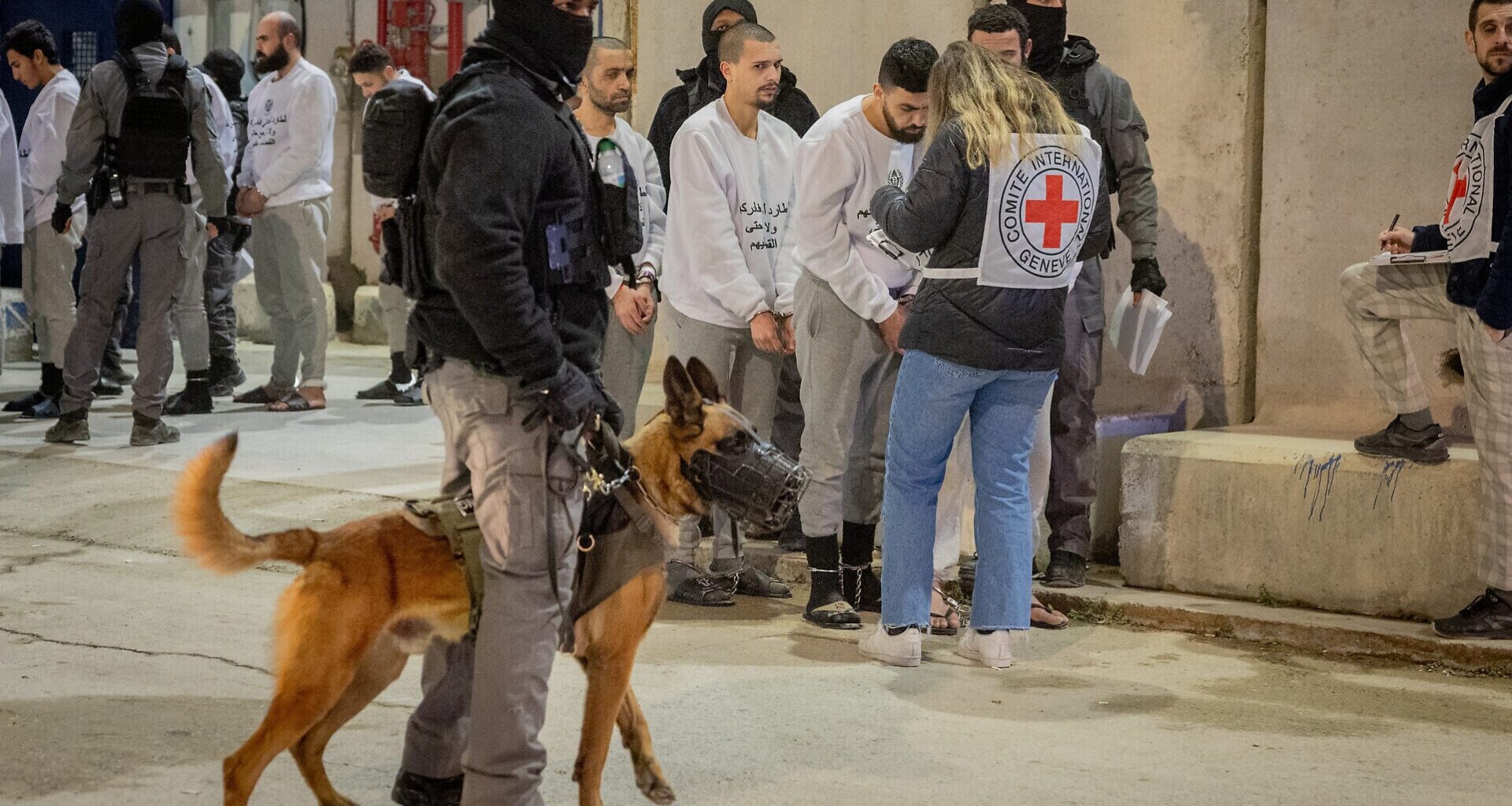 From Rutgers speaker to Kristof column, implausible anti-Israel dog rape claim goes mainstream