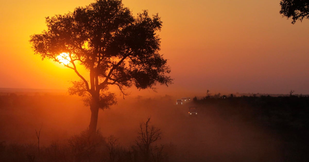 Tourists killed in South Africa national park, authorities say - CTV News