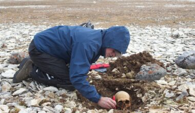 DNA donors help identify Franklin expedition members