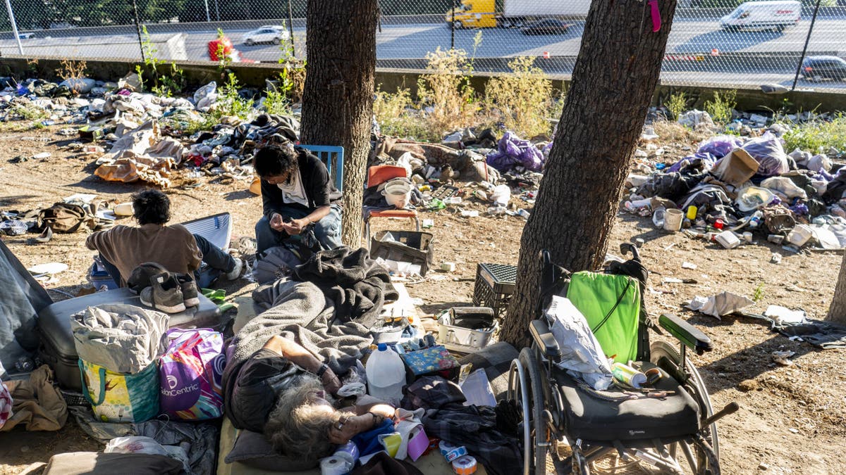 Homeless tents near freeway and redwood trees in Seattle