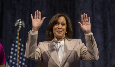 DNC Autopsy Doesn’t Mention Gaza or Israel At All