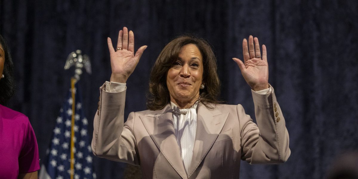 DNC Autopsy Doesn’t Mention Gaza or Israel At All