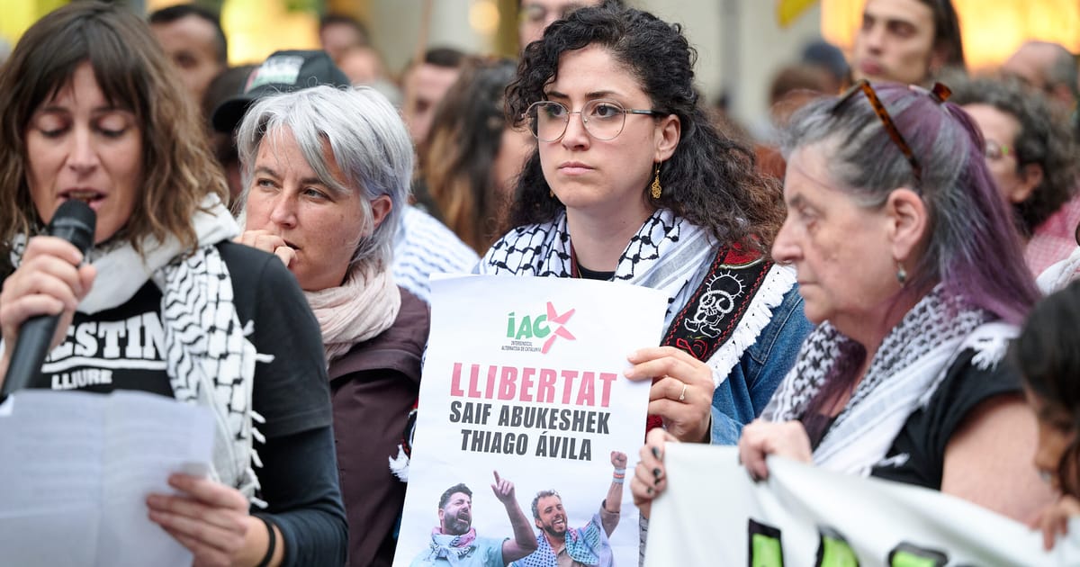 Madrid demands release of Spanish-Swedish activist detained by Israel – POLITICO