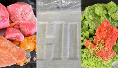 13 charged with 115 offences following seizure of $4.1M worth of drugs in Cornwall, Montreal - CTV News