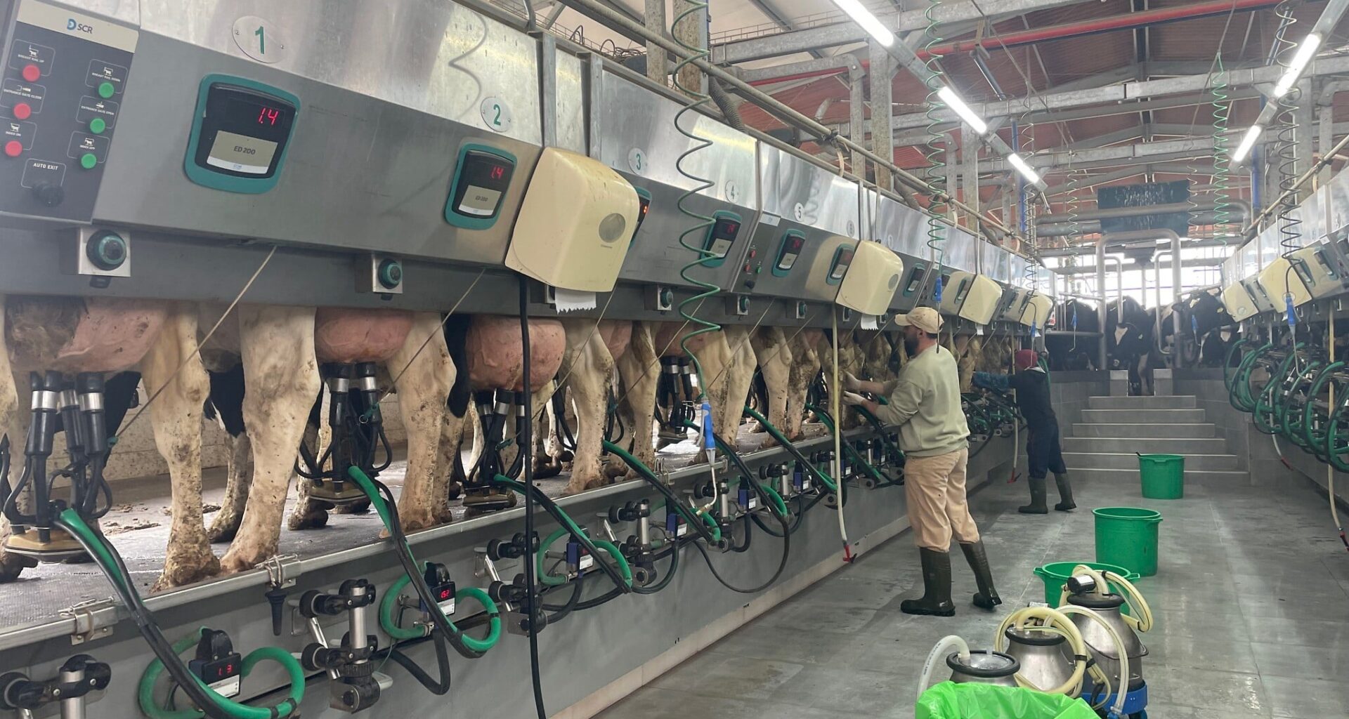Milking it: New figures show Israelis consuming more dairy products and alternatives