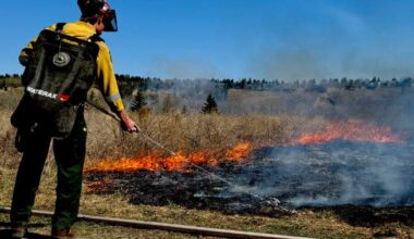 Several grassfires burn in Edmonton as city steps up prevention measures - Edmonton