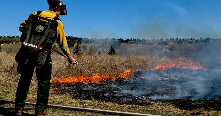 Several grassfires burn in Edmonton as city steps up prevention measures - Edmonton
