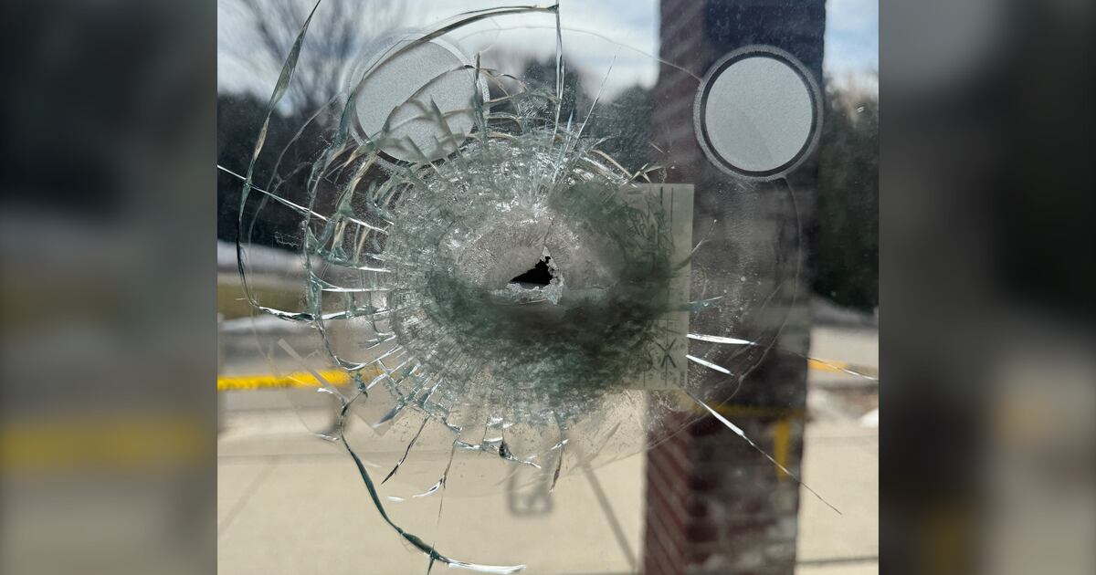 Synagogue shootings: Second teen arrested