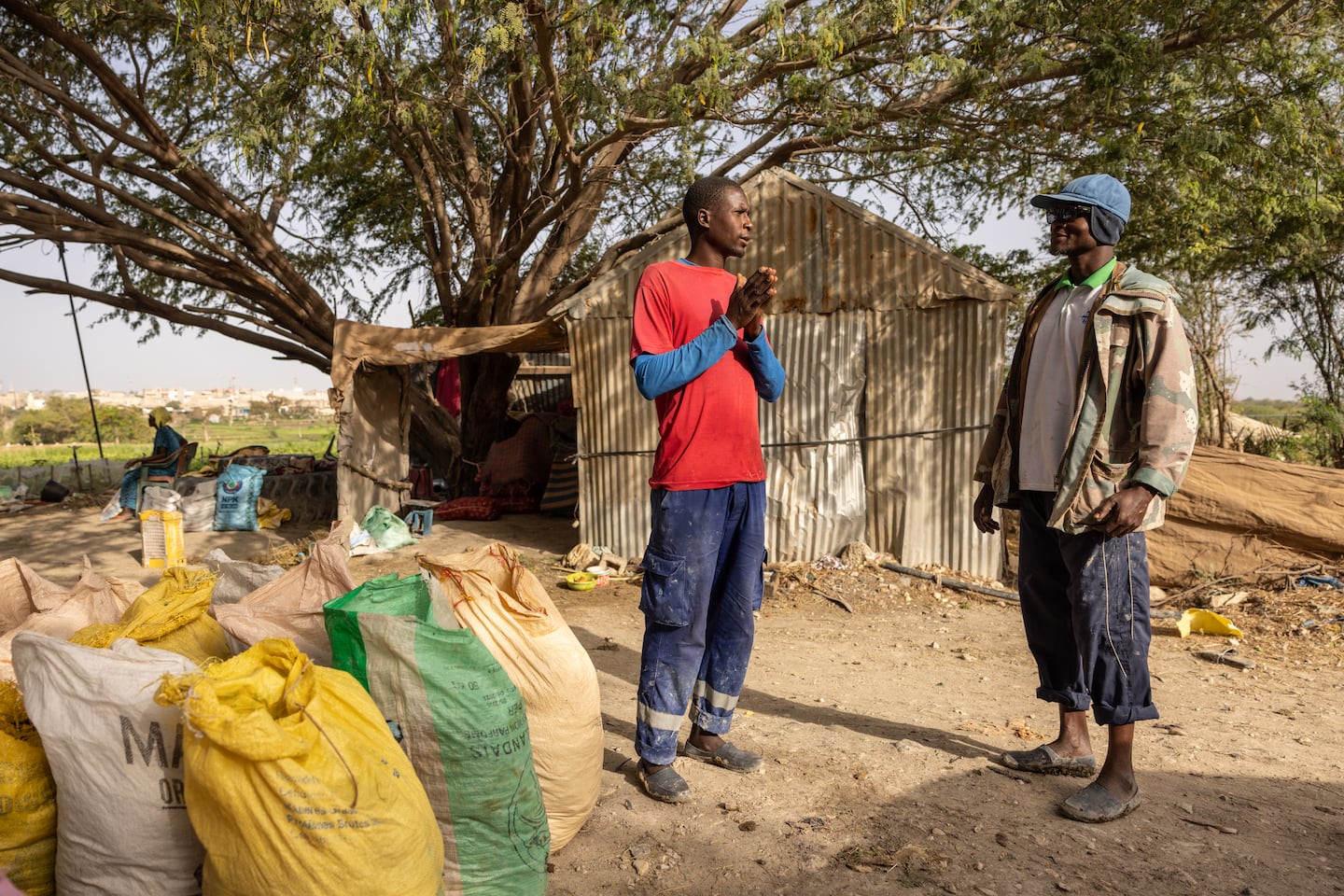 Abou Sow, left, and Farah Jammeh are both exploring local, organic alternatives to chemical fertilizers in Rufisque, Senegal, on May 12, 2026.