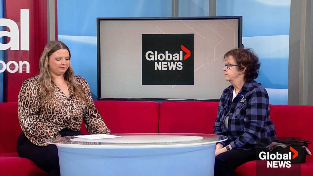 Click to play video: 'Understanding bats and misconceptions amid rabies reports'