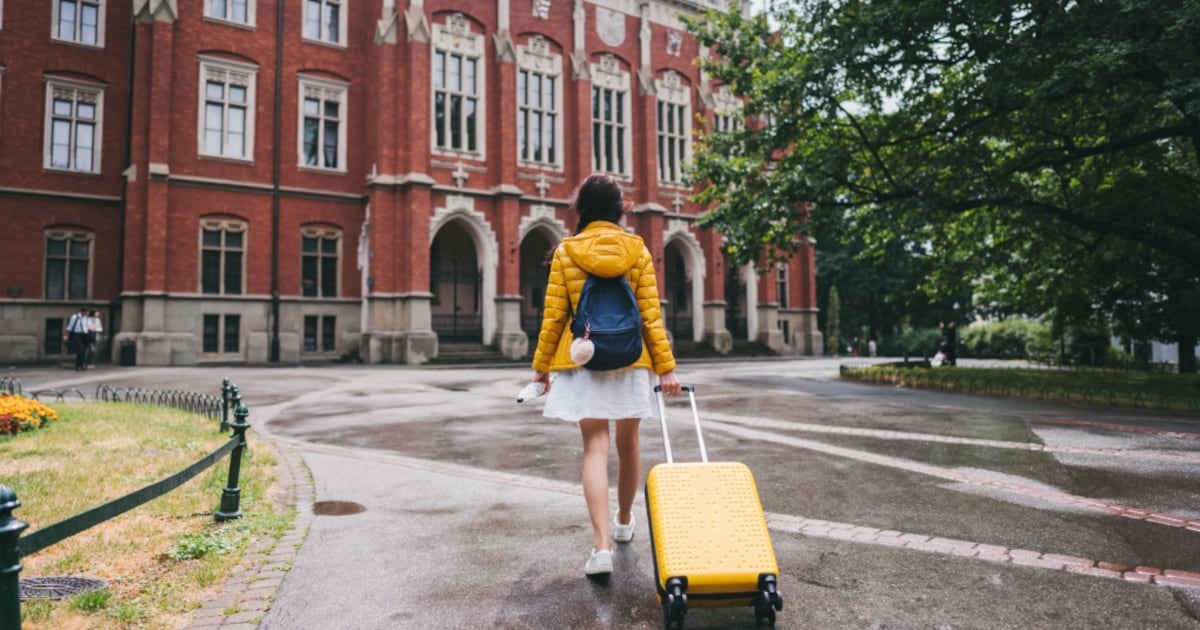 Ontario to lose more than a third of international students: StatCan - CTV News