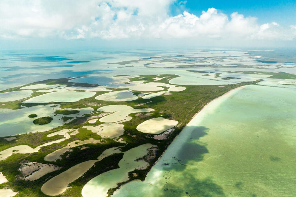 Mexico’s Environment Secretariat halts Royal Caribbean Tourism Project in Quintana Roo