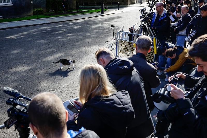 Media wait outside Number 10 Downing Street ahead of a cabinet meeting in central London. Photograph: Brook Mitchell AFP via Getty Images