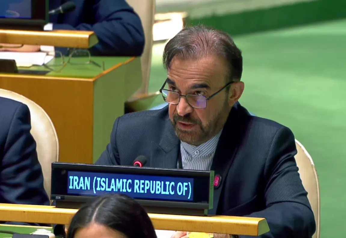 A man in a suit and glasses speaks at a United Nations meeting, seated behind a sign reading "Iran (Islamic Republic of)".