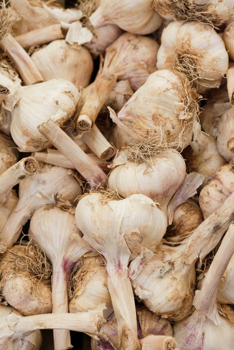 Garlic bulbs. Image via Emma Dahl