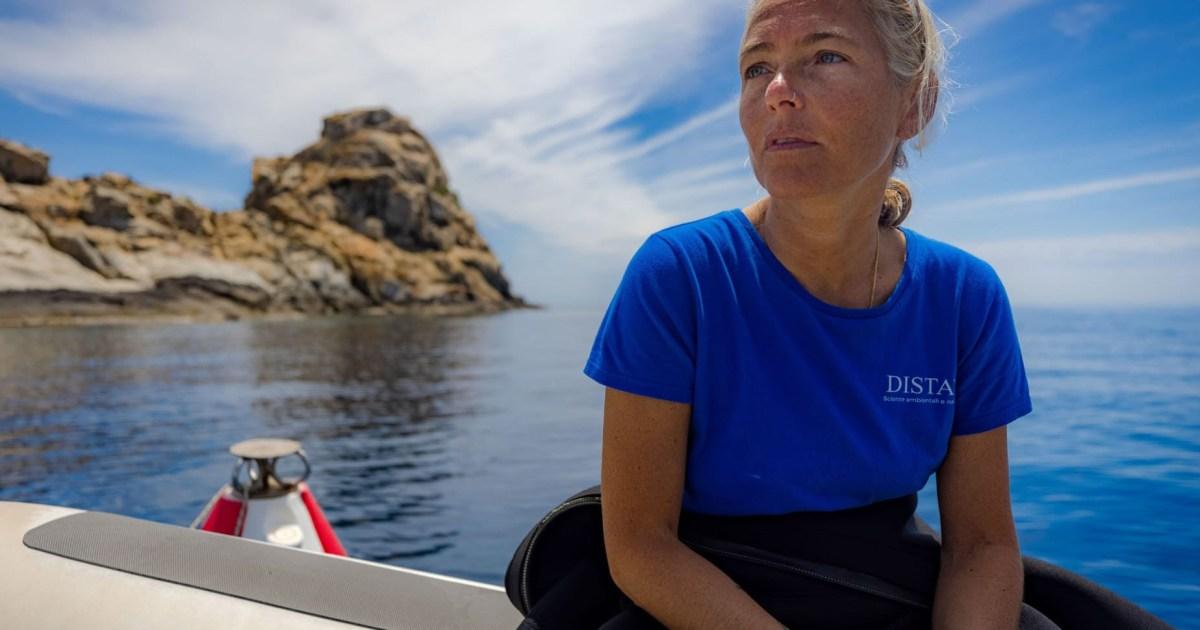 Mystery of Maldives divers killed in 'Shark Cave' may have been solved | News World