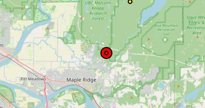 Wildfire sparks overnight response in B.C Maple Ridge forest
