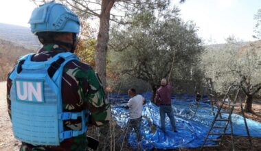 South Lebanon's agriculture falls victim to Israeli attacks