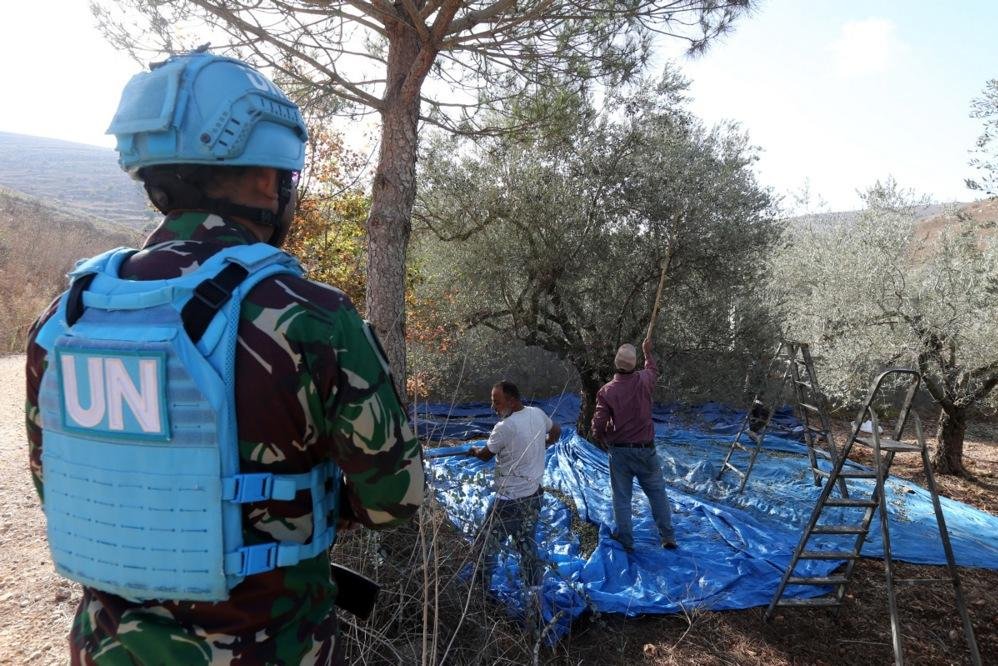 South Lebanon's agriculture falls victim to Israeli attacks