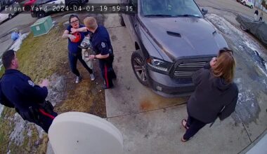Owner of Summerside dogs that killed boy tells court training was in the works