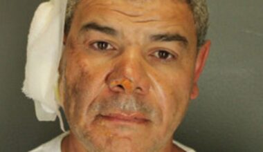 Suspect pleads guilty to deadly firebombing attack on pro-Israel rally in Colorado