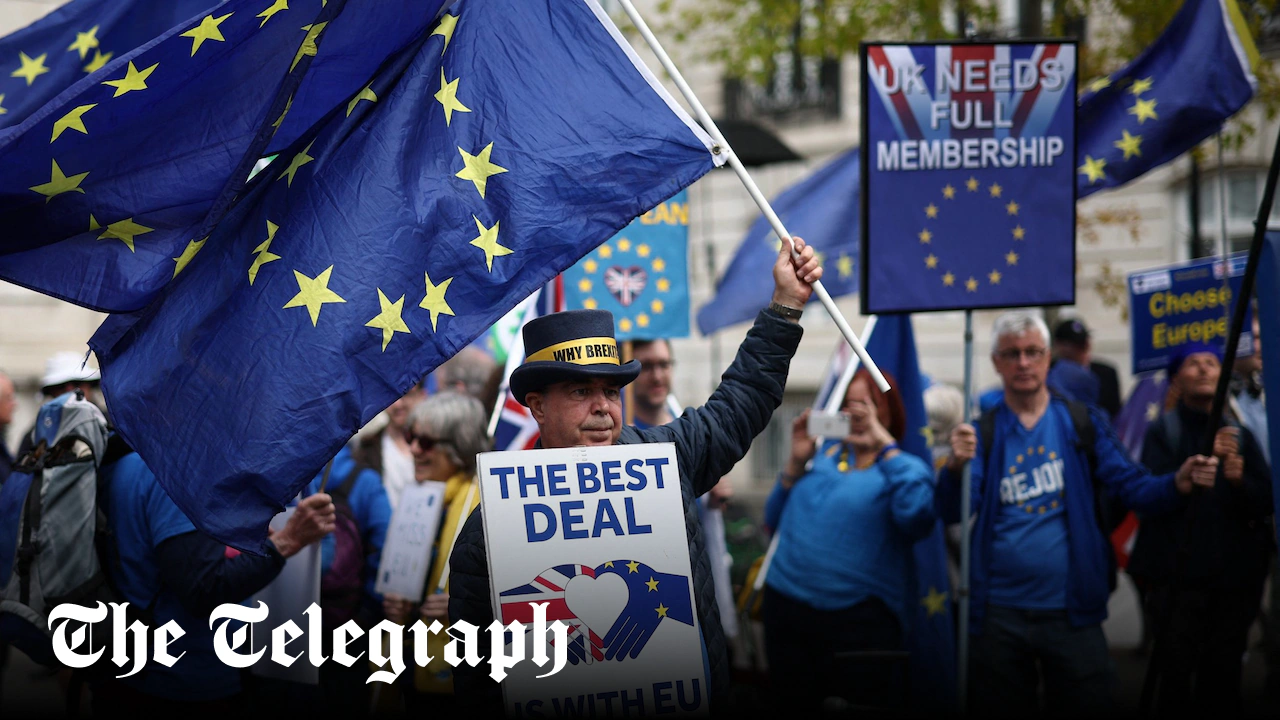 Labour tried to join EU single market for goods - The Telegraph