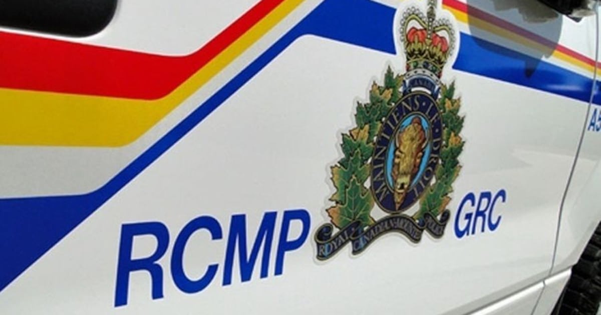 2 in custody after missing B.C. children found safe within 90 minutes of Amber Alert, RCMP say - CTV News