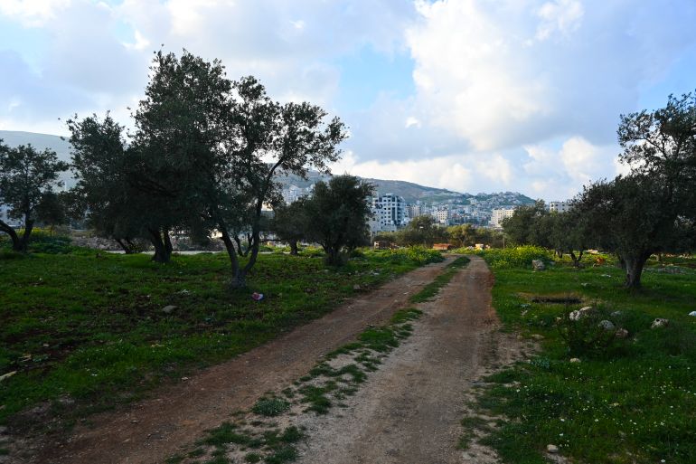A track surrounded by trees at Tel Askar refugee camp