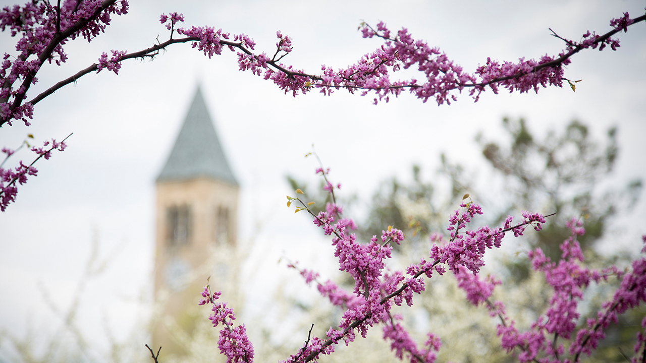 Harassment and intimidation incident at Day Hall | University Statements
