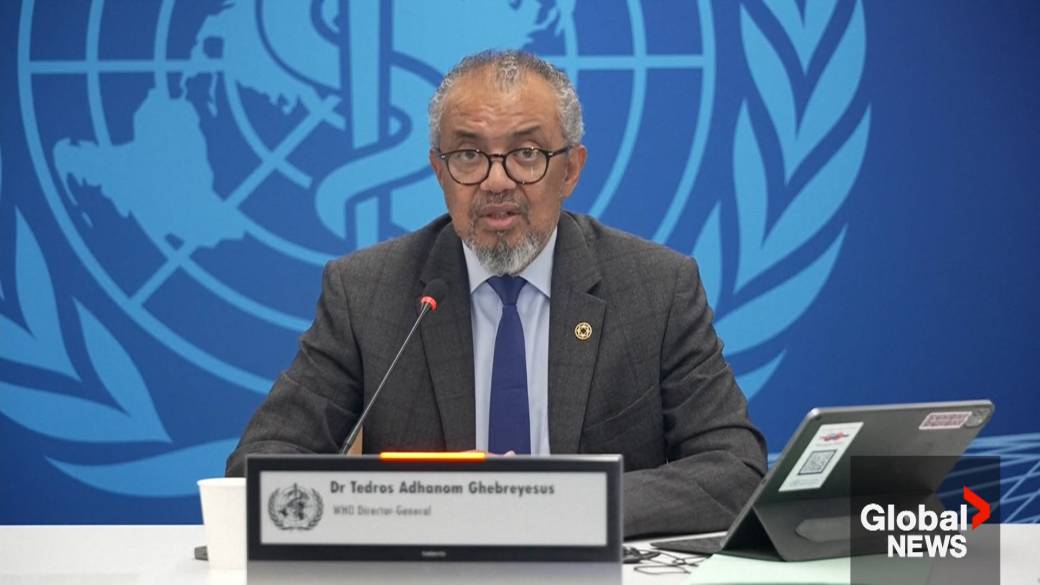 Click to play video: 'WHO confirms new Ebola outbreak in remote Congo province'