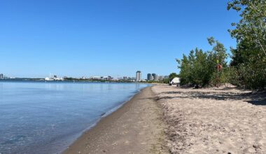 Advocacy group says Toronto slow on Hanlan’s Beach