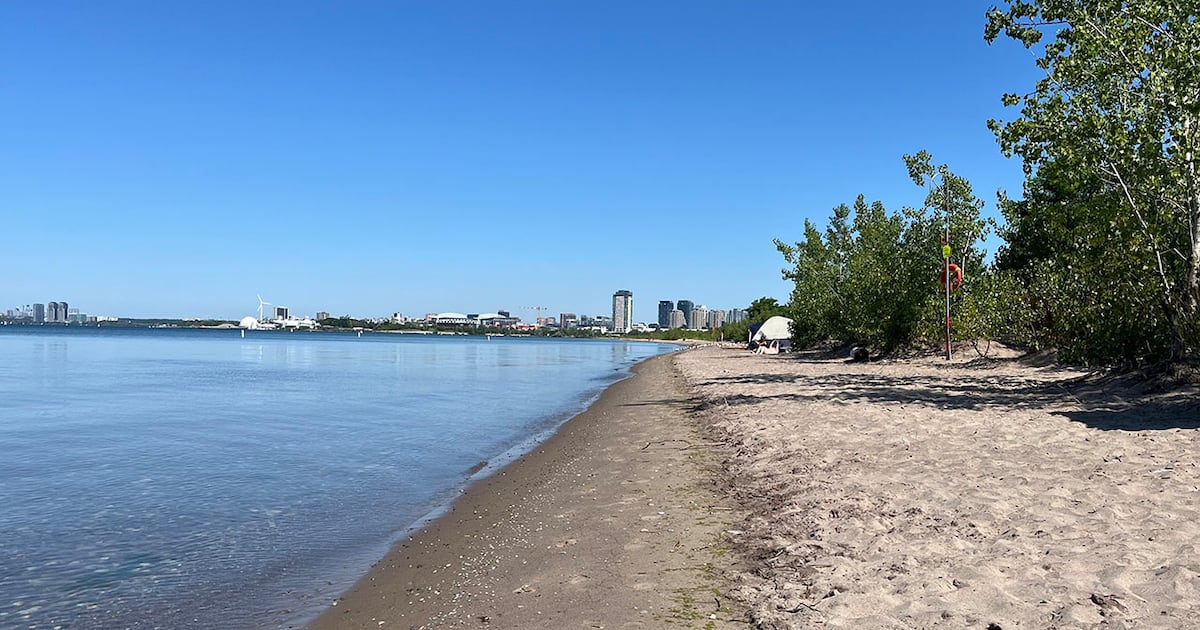 Advocacy group says Toronto slow on Hanlan’s Beach