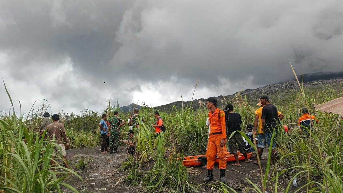 Joint search and rescue (SAR) teams prepare to evacuate victims
