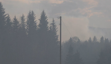 Wildfire evacuation order issued for county northwest of Edmonton - CTV News
