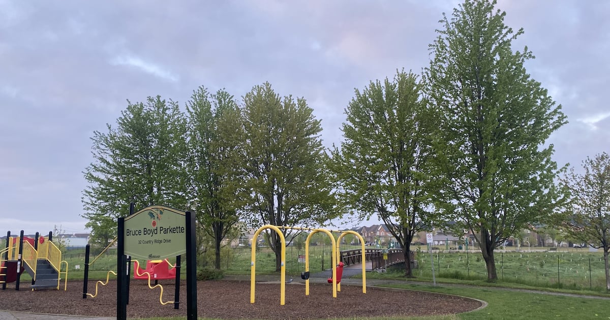 Public safety warning issued after coyote bites child at Markham park - CTV News